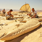 Featured image placeholder 16:9